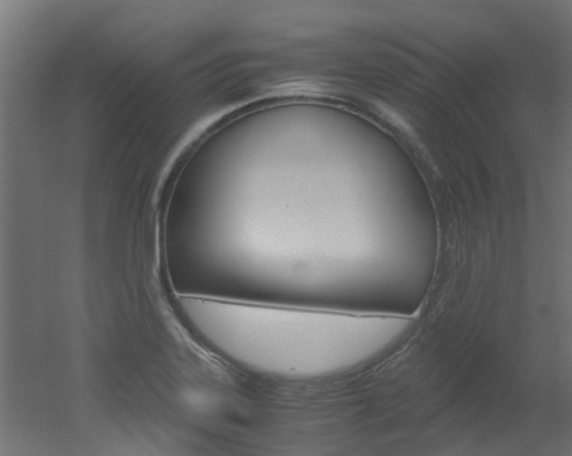 X0000051871323200506241018