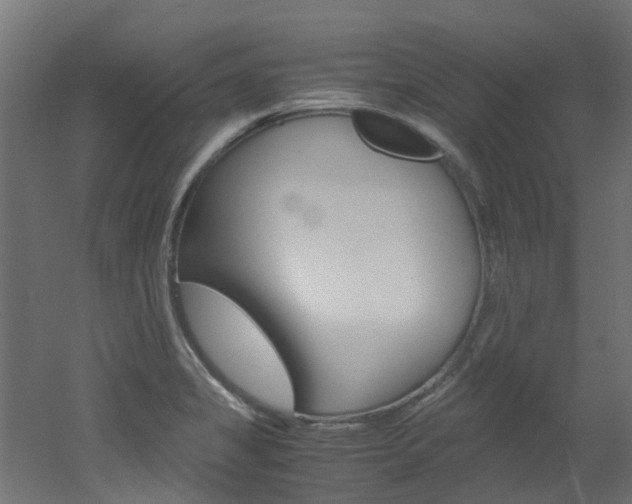 X0000051871325200506241018