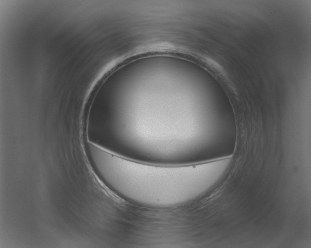 X0000051871326200506241018