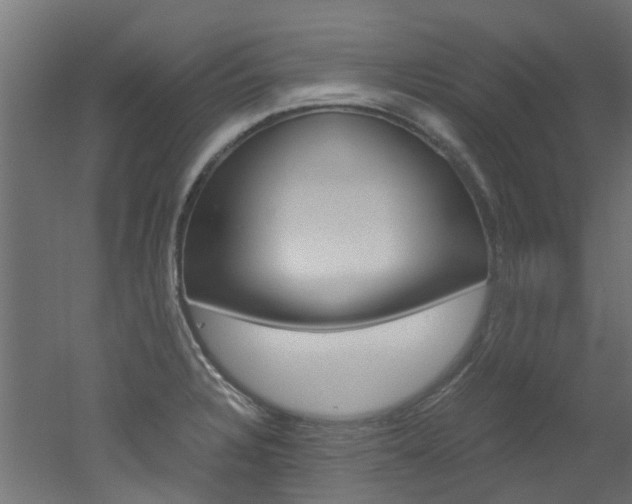 X0000051871328200506241018