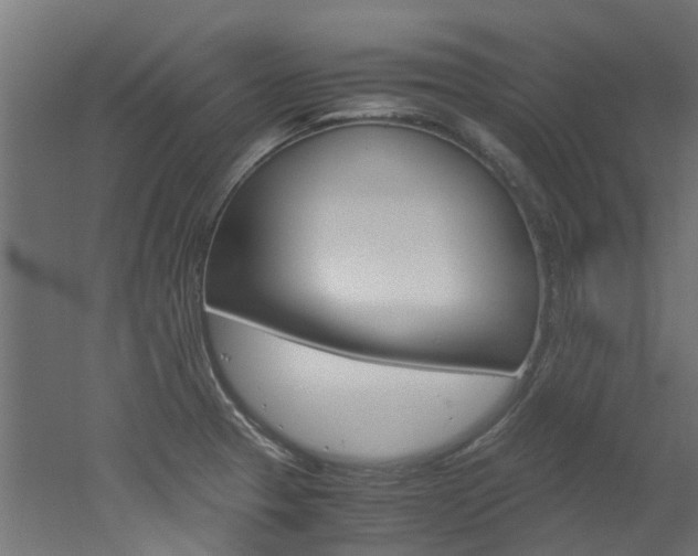 X0000051871329200506241018