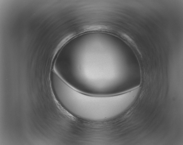 X0000051871330200506241018