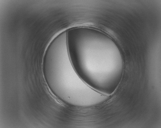 X0000051871332200506241018