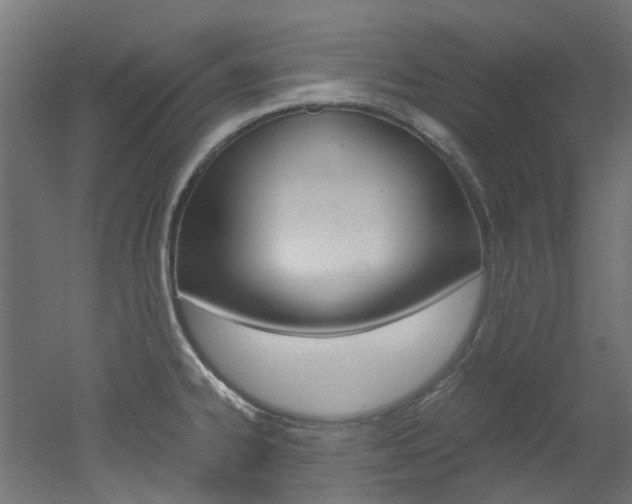 X0000051871334200506241018