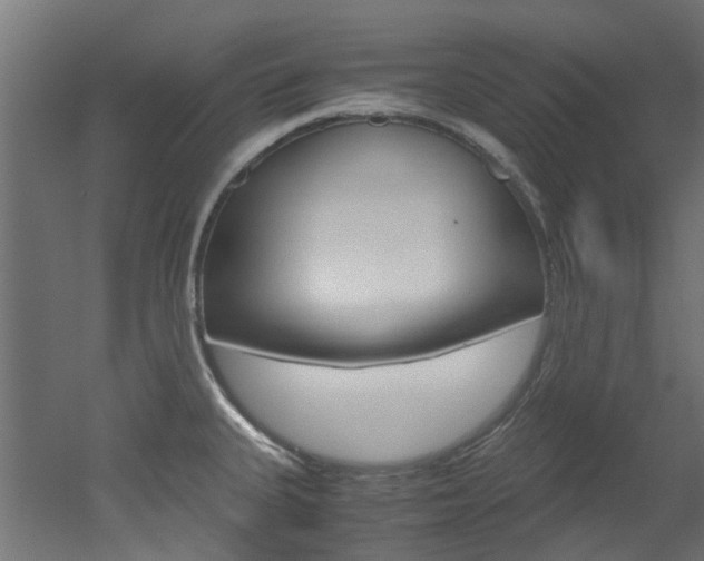 X0000051871335200506241018