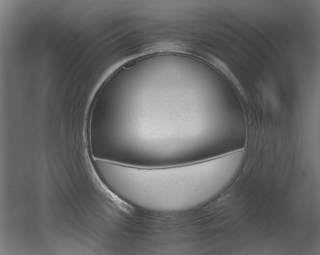 X0000051871339200506241018