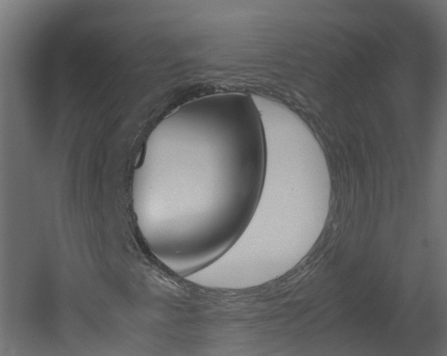 X0000051871345200506241017