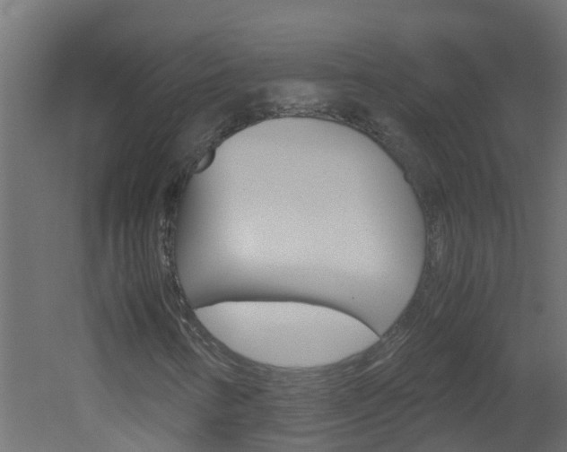 X0000051871346200506241017