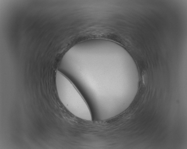 X0000051871347200506241017