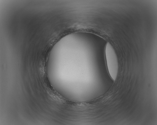 X0000051871348200506241017