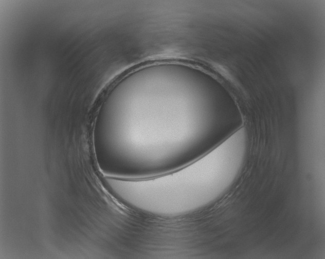 X0000051871356200506241017