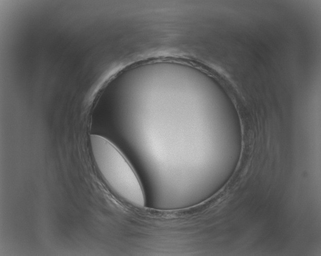 X0000051871359200506241017