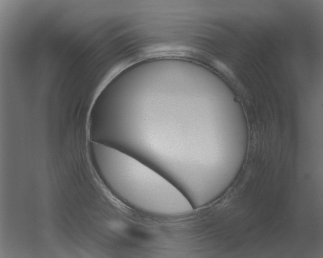 X0000051871370200506241017