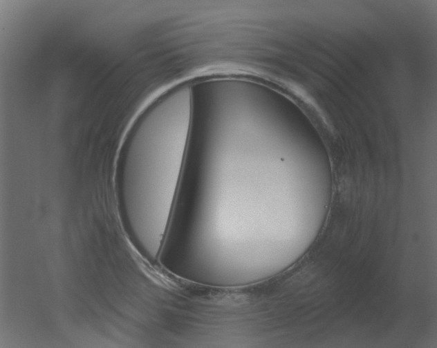 X0000051871372200506241017