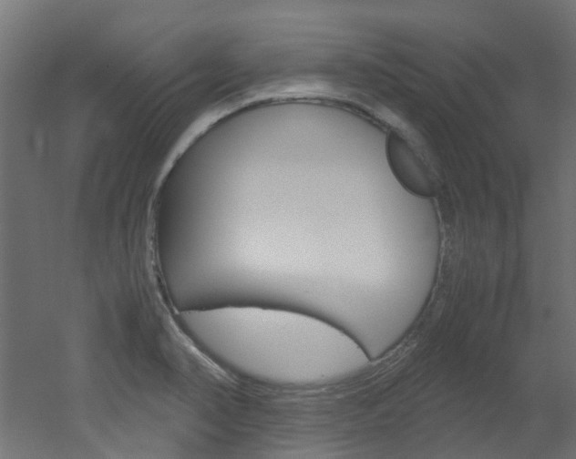 X0000051871374200506241017