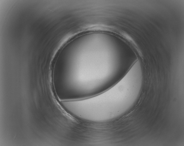X0000051871376200506241017