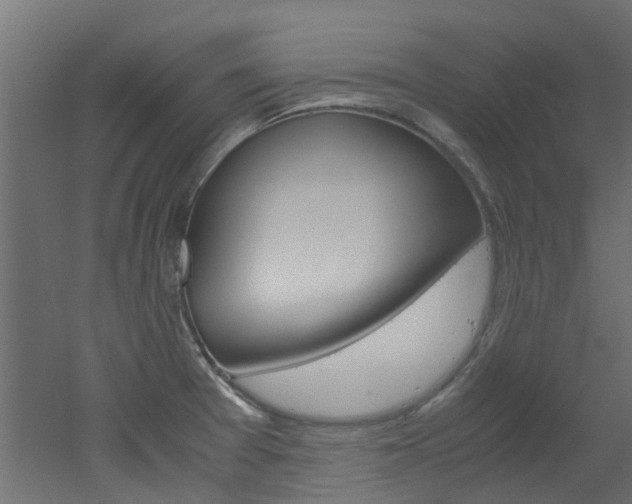 X0000051871377200506241017