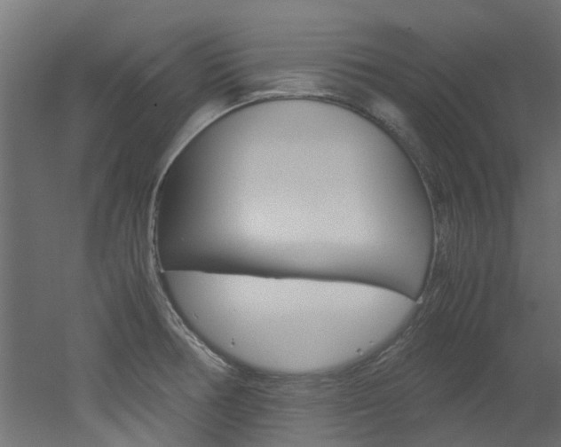 X0000051871378200506241017