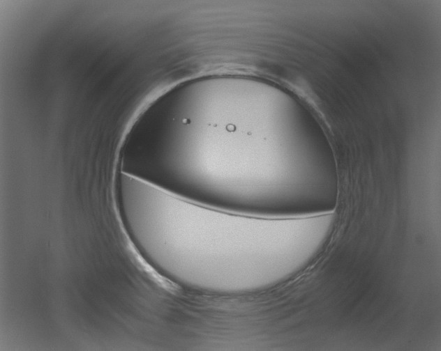 X0000051871379200506241017