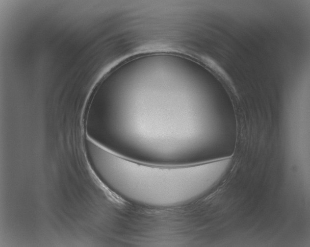 X0000051871380200506241017