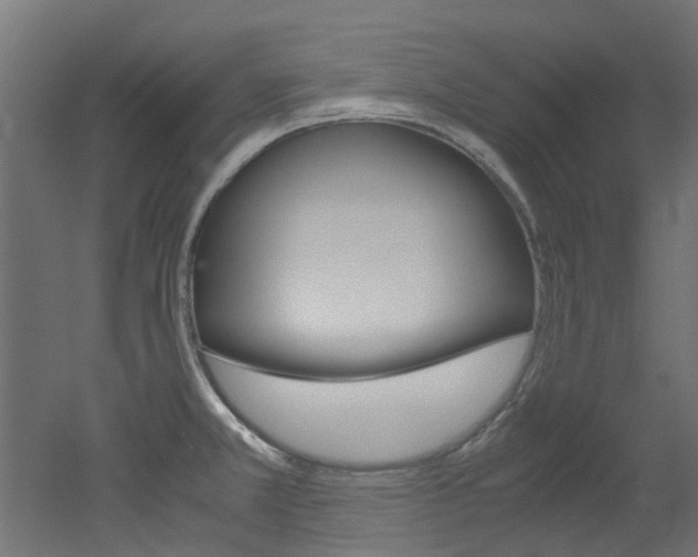 X0000051871381200506241017