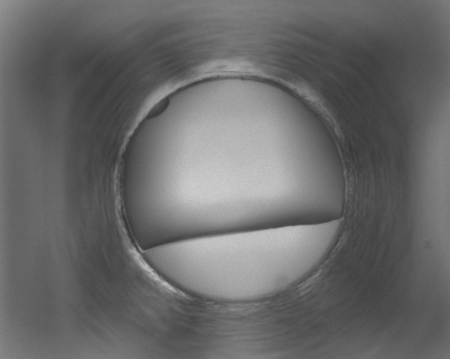 X0000051871382200506241017