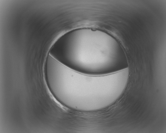 X0000051871383200506241017