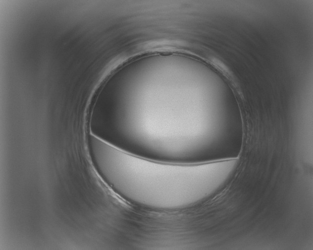 X0000051871384200506241017