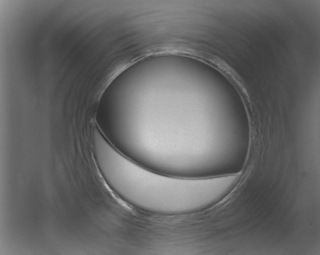 X0000051871385200506241017