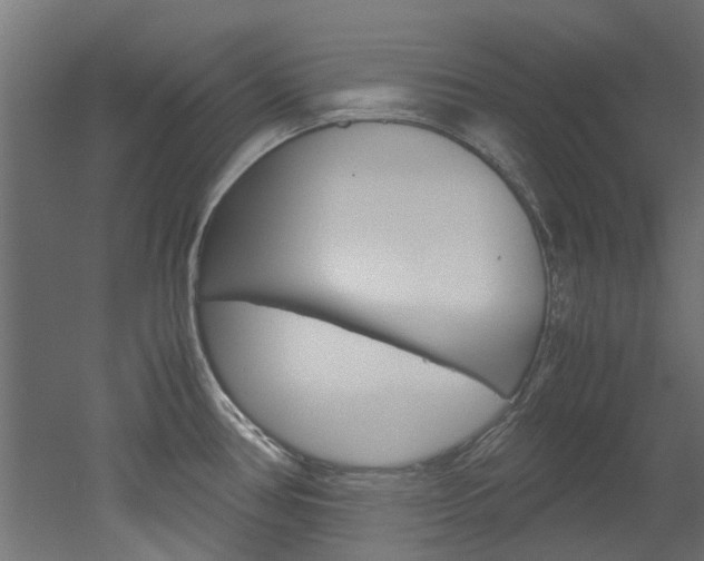 X0000051871386200506241017
