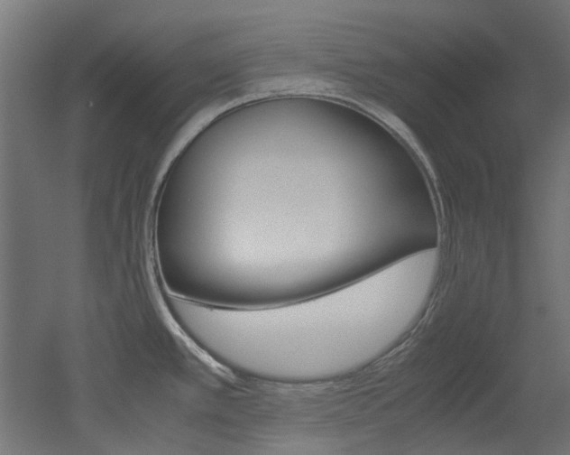 X0000051871389200506241017