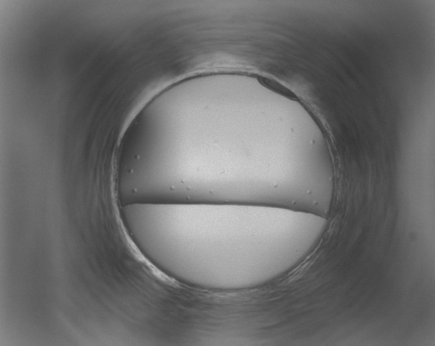 X0000051871390200506241017