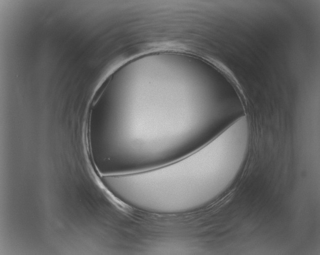 X0000051871391200506241017
