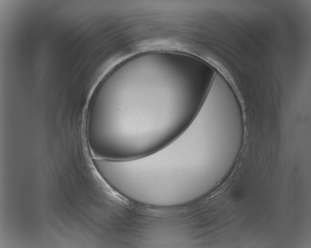 X0000051871392200506241017