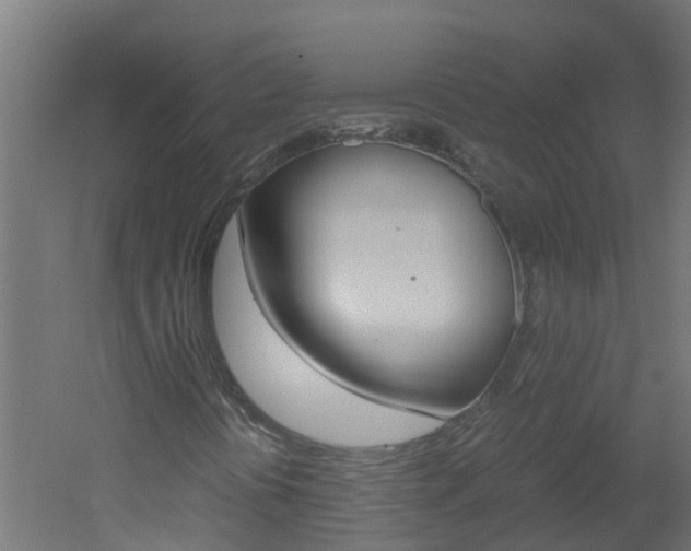X0000051871394200506241016