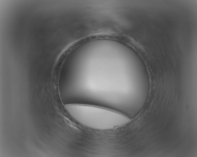 X0000051871400200506241016