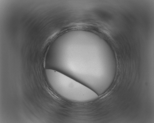 X0000051871403200506241016