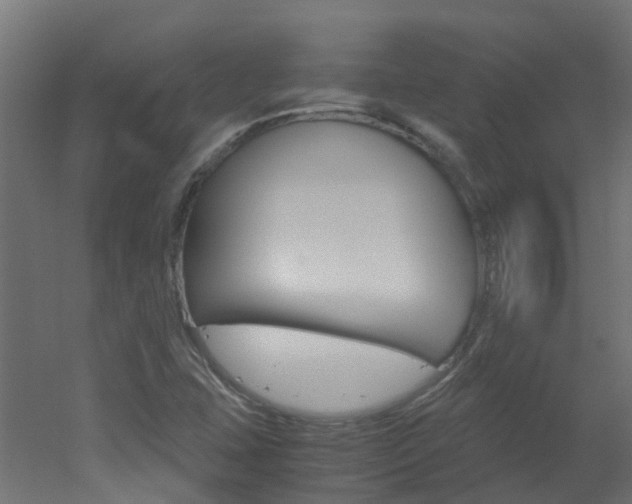 X0000051871407200506241016