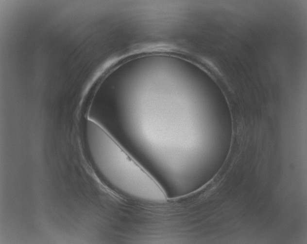 X0000051871414200506241016