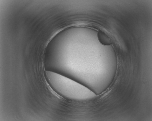X0000051871417200506241016