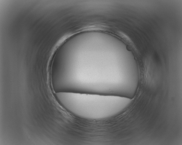 X0000051871419200506241016