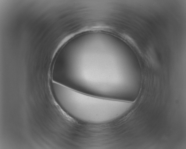 X0000051871420200506241016