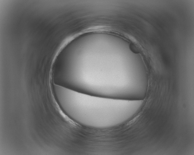 X0000051871421200506241016