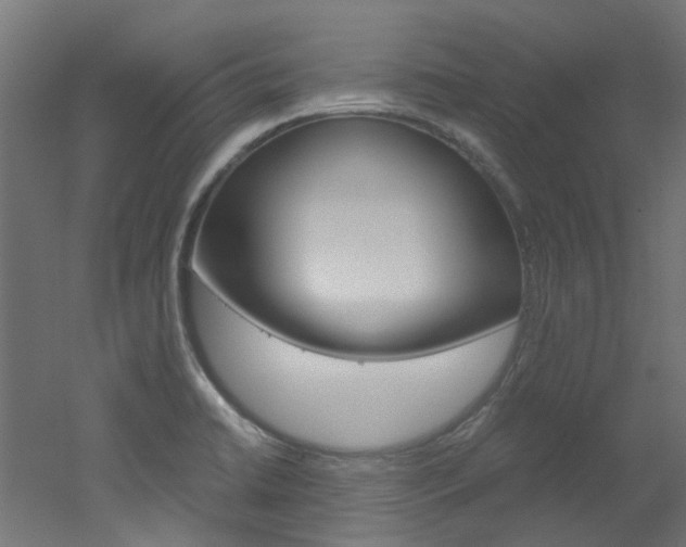 X0000051871422200506241016