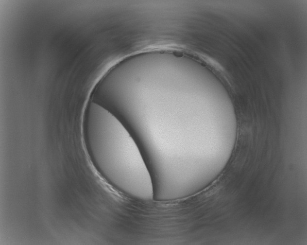 X0000051871423200506241016