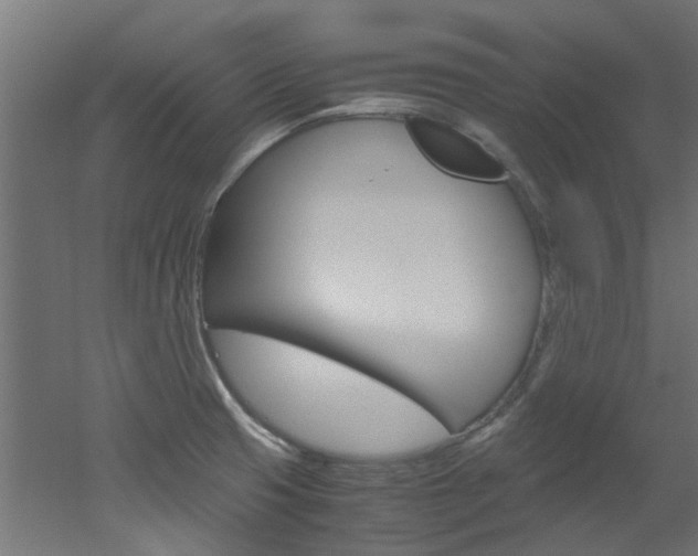 X0000051871425200506241016