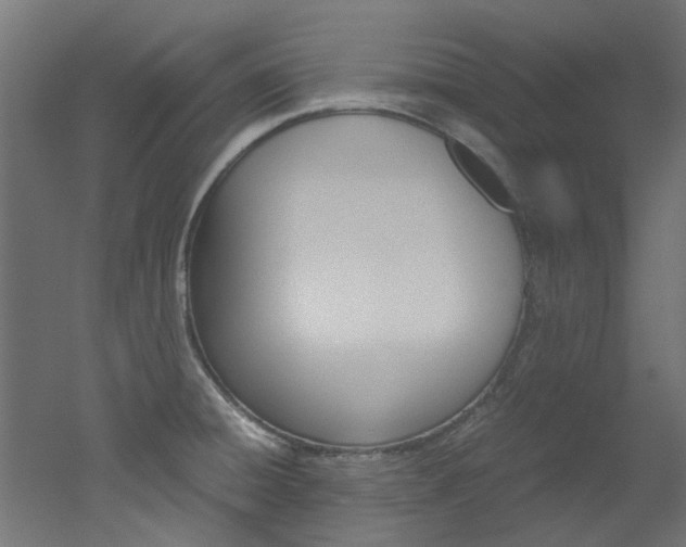 X0000051871428200506241016