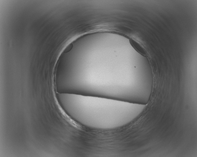 X0000051871431200506241017