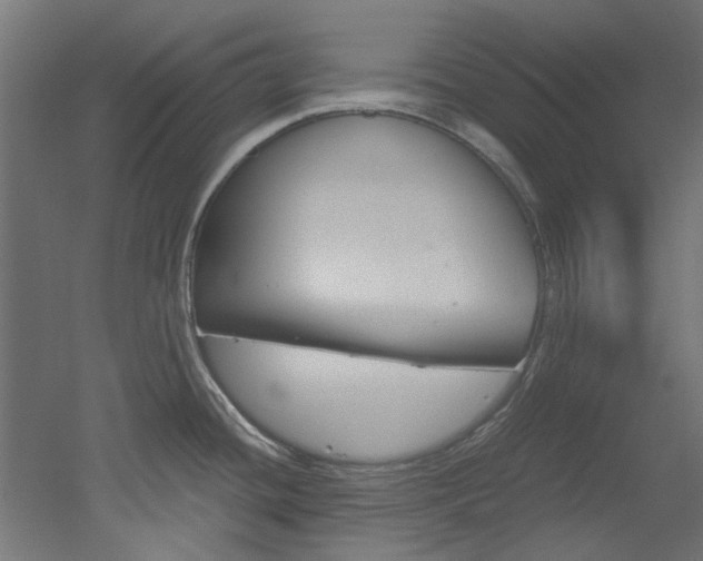 X0000051871436200506241017
