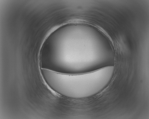 X0000051871437200506241017